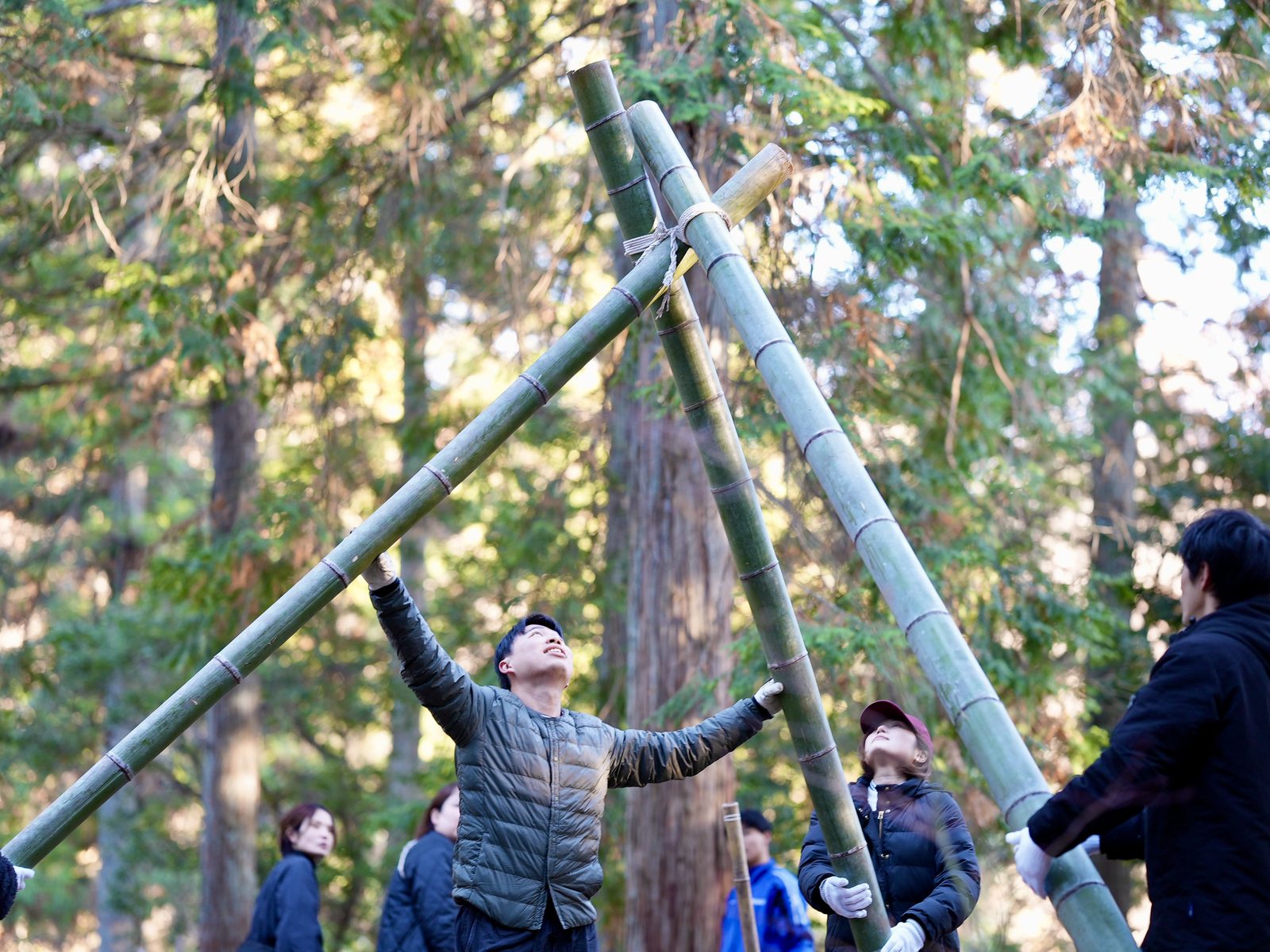 People raising a bamboo frame together in the forest