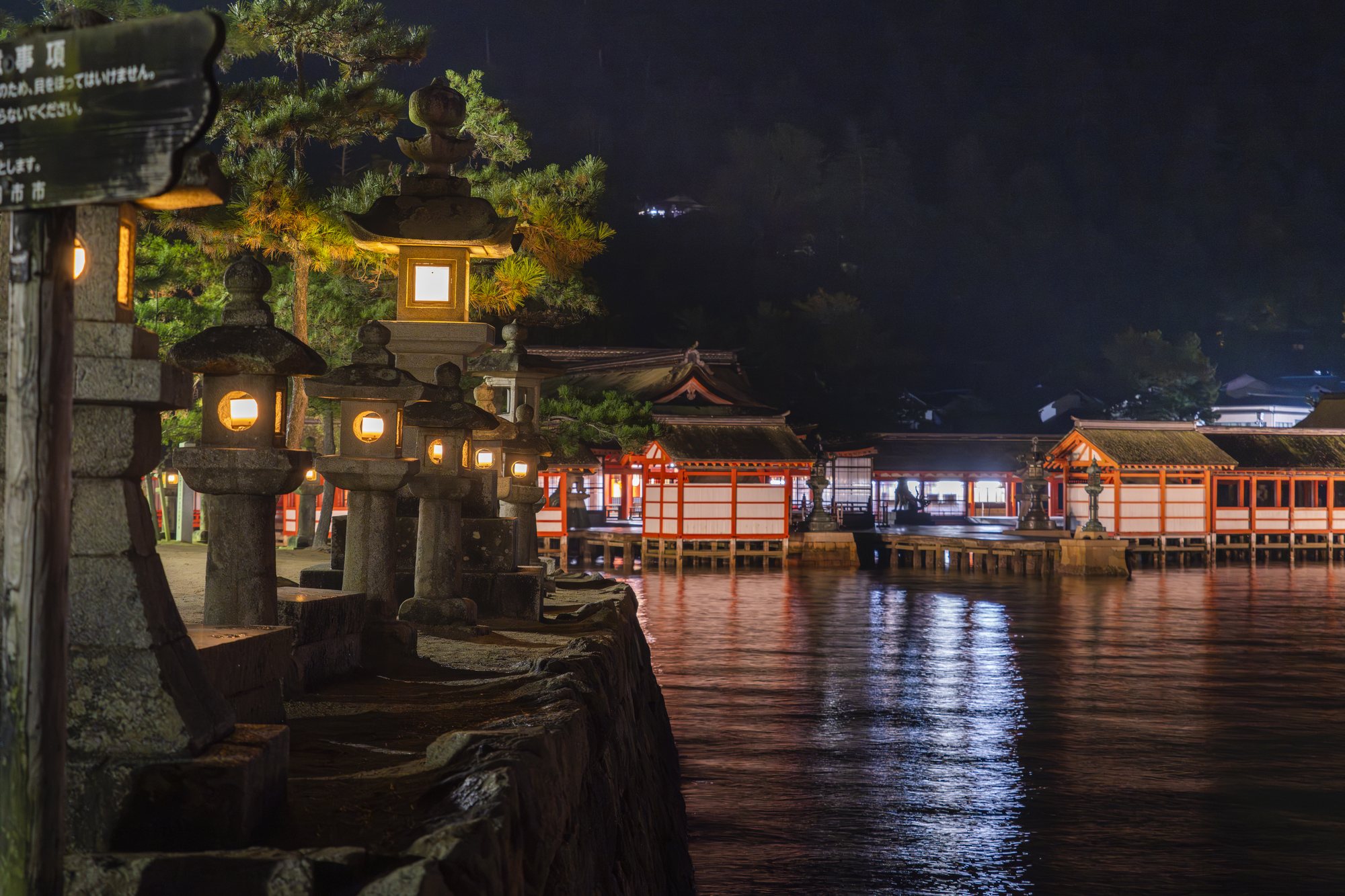夜、灯りに浮かぶ大鳥居と水鏡